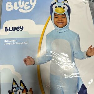 Bluey costume
